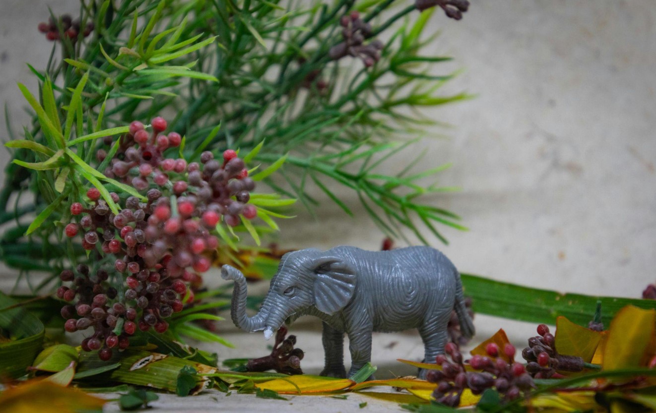 Why Faux Plants Are the Perfect Addition to Your Space